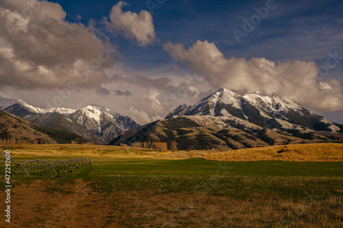 2021-11-30 ABSAROKA RANGE WITH SNOW ON TOPAND A FIELD OF ALFALFA WITH A BLUE SKY AND STORM CLOUDS
