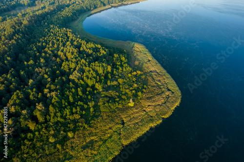 Aerial landscape of the lake and part of the green forest in a daylight.