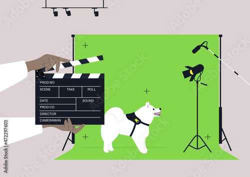 Dog acting in a movie scene, a samoyed puppy standing against the chroma key background, surrounded by lighting and sound equipment