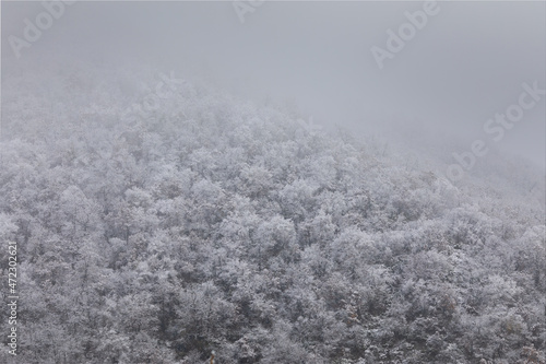 Winter in Croatia. Snow. Fog