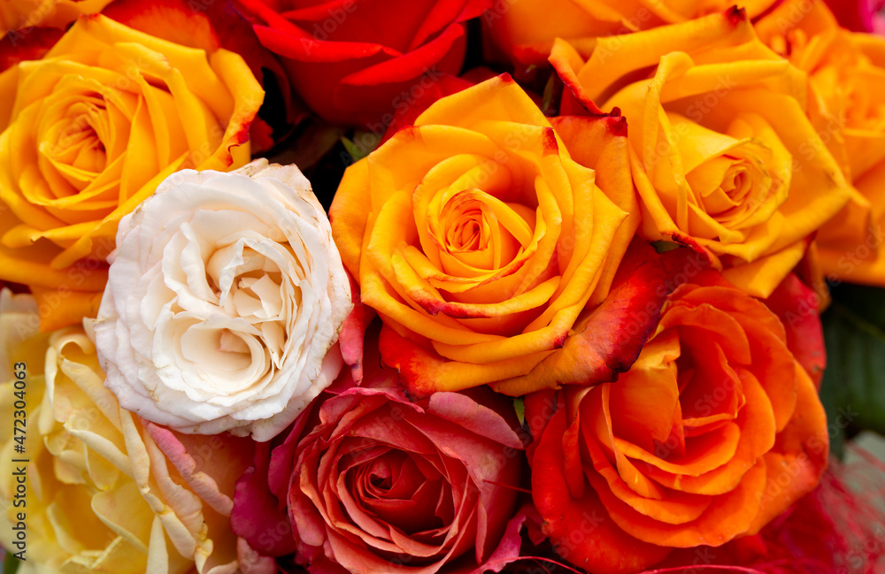 Beautiful flower bouquet with various colored roses Beautiful flower bouquet with various colored roses