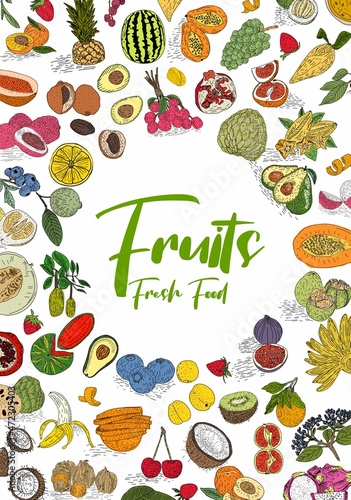 Fruit collection in flat hand drawn style  decorative retro style illustrations set. Tropical fruit and graphic design elements. Sketch style  ingredients color cliparts.