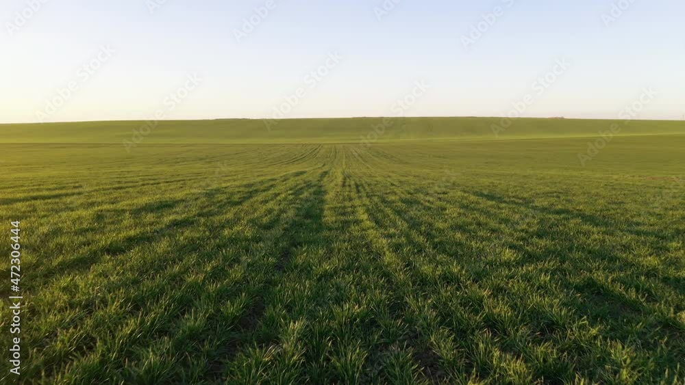 Aerial view of beautiful agricultural field at daytime. Rural landscape Aerial view of beautiful agricultural field at daytime. Rural landscape