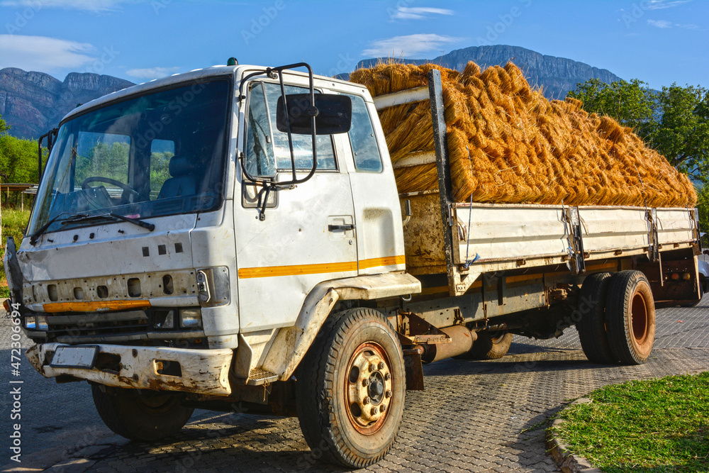 Truck transporting bundles of cut reed, Africa
