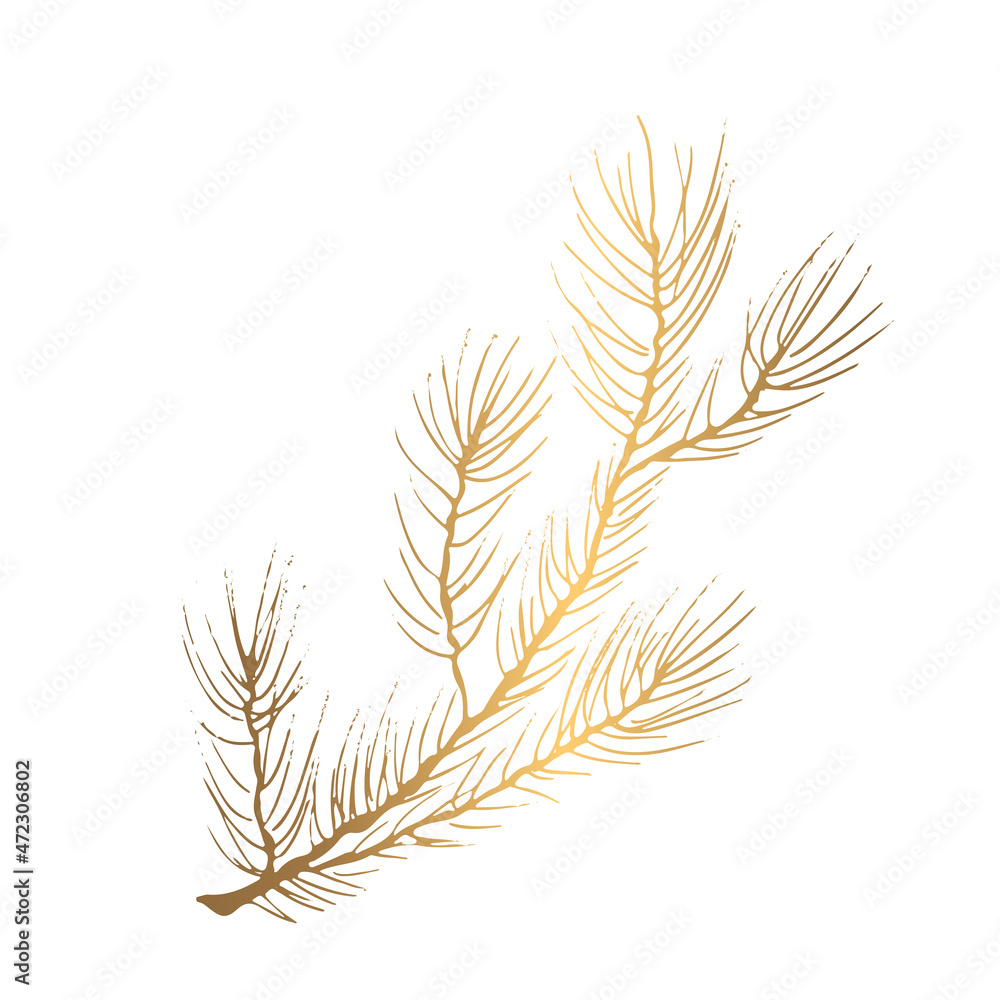 Golden branch of spruce. Shiny with gold needles. Vector illustration. For web pages and printing. Golden branch of spruce. Shiny with gold needles. Vector illustration. For web pages and printing.