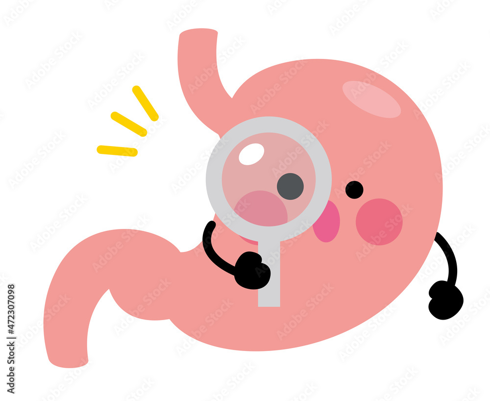 Fototapeta premium 胃 キャラクター 虫眼鏡