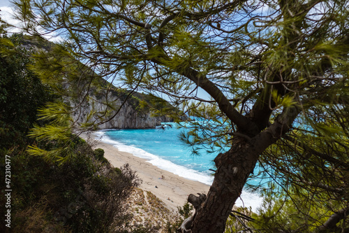 Pine tree and azure vibrant waves on green rocky coast of Lefkada island. Mylos beach in Greece. Summer nature vacation travel to Ionian Sea
