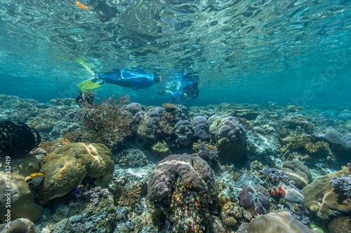Indonesia  West Papua  Raja Ampat. Snorkelers survey reefs.