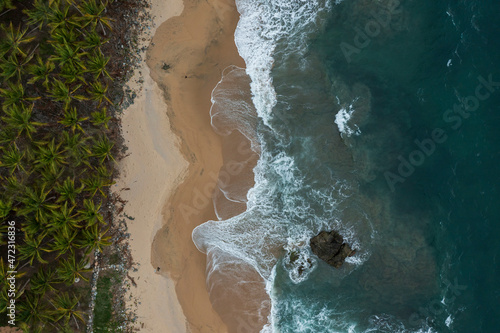 Palmeras, arena y mar. Playa vista desde arriba en vista cenital  photo