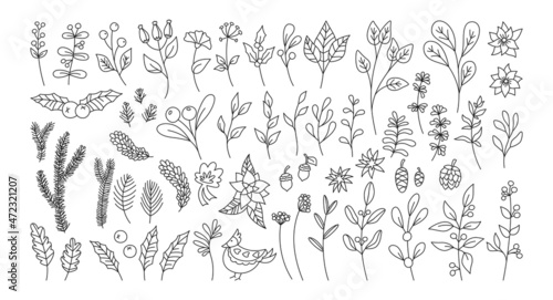 Christmas branch plant doodle set. Laurel and leaf, poinsettia holly, berry, fir pine cone winter festive line collection. New year and xmas doodle botanical greeting card, textile, fabric, posters