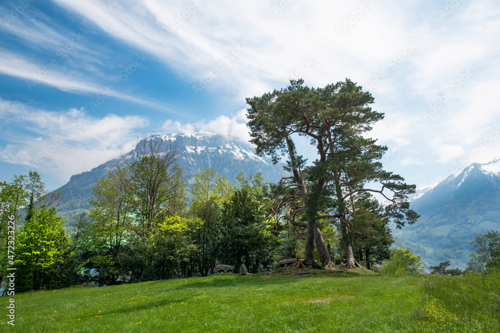 landscape with blue sky