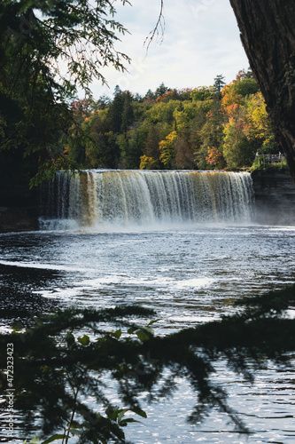 waterfall in the forest