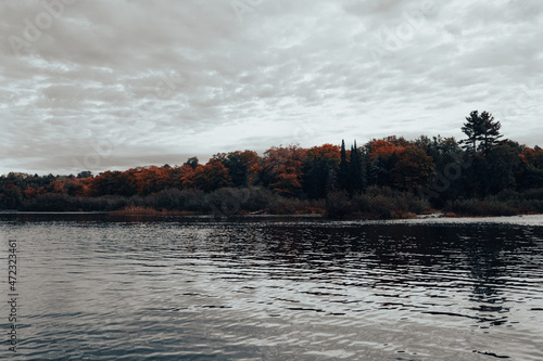 Boat rides on the lake