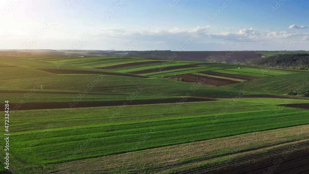 Aerial view of beautiful agricultural field at daytime. Rural landscape Aerial view of beautiful agricultural field at daytime. Rural landscape