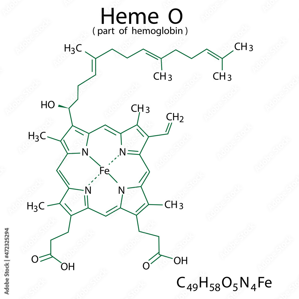 Heme O chemical formula. Part of hemoglobin. Molecular structure. Organic compound. Vector illustration. Stock image. 