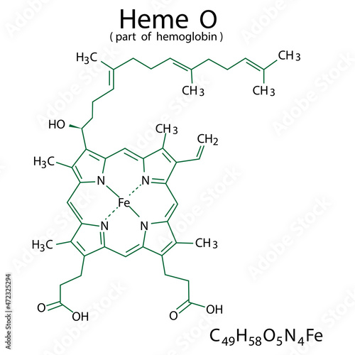 Heme O chemical formula. Part of hemoglobin. Molecular structure. Organic compound. Vector illustration. Stock image.  photo