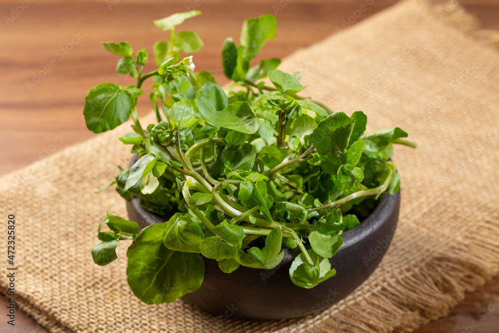 Green watercress in bowl on the table. Green watercress in bowl on the table.
