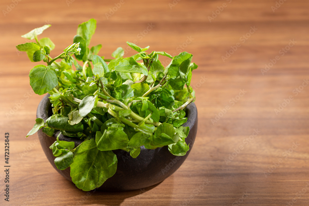Green watercress in bowl on the table. Green watercress in bowl on the table.