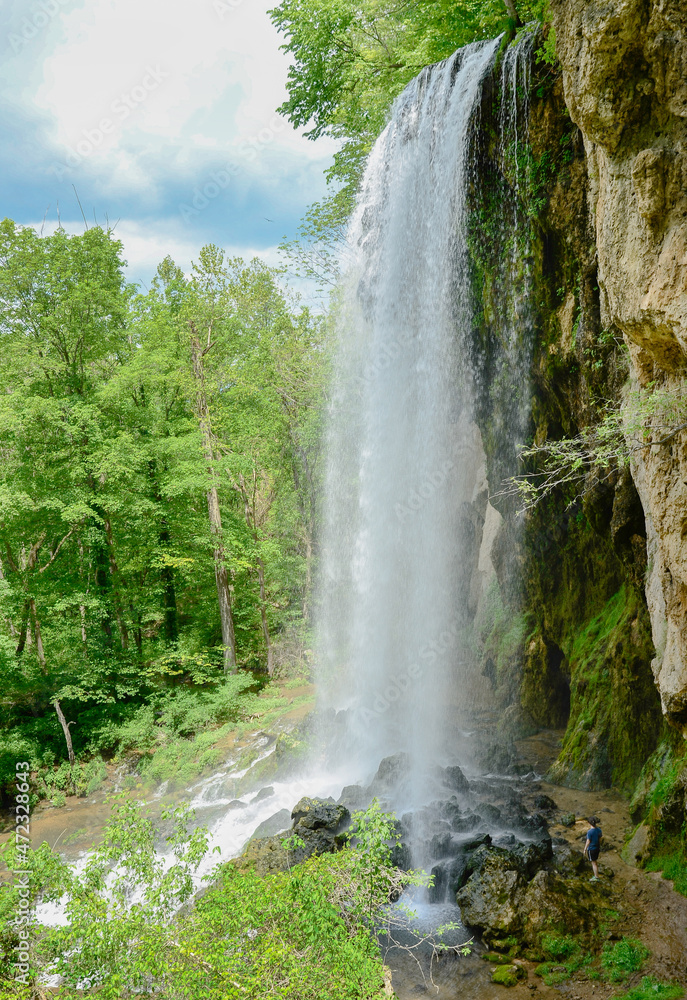 Fototapeta premium waterfall in the forest