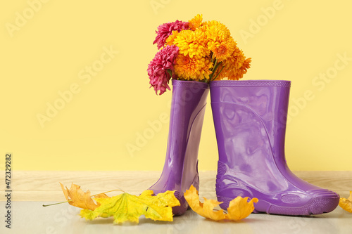 Rubber boots, flowers and fallen leaves against color wall