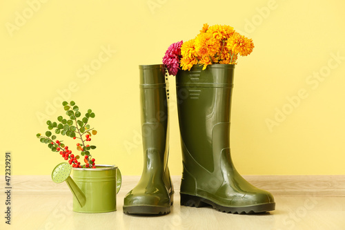 Pair of rubber boots, flowers and watering can against color wall