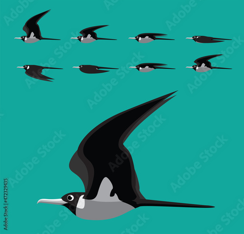 Frigatebird Flying Animation Sequence Cartoon Vector