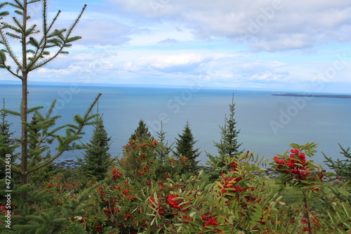 Εκτύπωση καμβά vue du belvédère Raoul Roy a St-Fabien Québec
