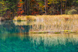 福島・裏磐梯　秋色に彩られた五色沼周辺のハイキングコースの美しい風景
