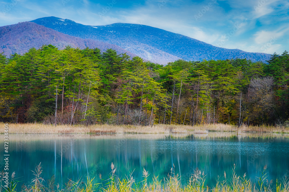 福島 裏磐梯 秋色に彩られた五色沼周辺のハイキングコースの美しい風景 Stock Photo Adobe Stock