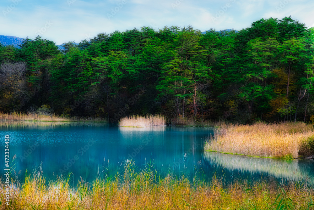福島 裏磐梯 秋色に彩られた五色沼周辺のハイキングコースの美しい風景 Stock Photo Adobe Stock
