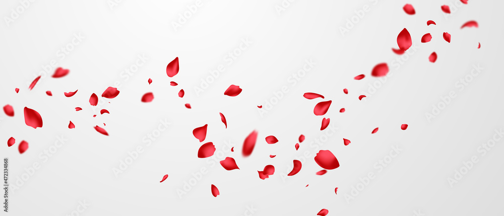 Red rose petals will fall on abstract floral background with gorgeous rose petal greeting card design. - obrazy, fototapety, plakaty 
