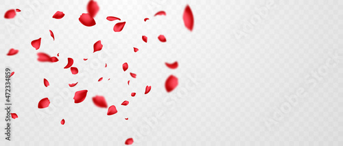 Red rose petals will fall on abstract floral background with gorgeous rose petal greeting card design. photo