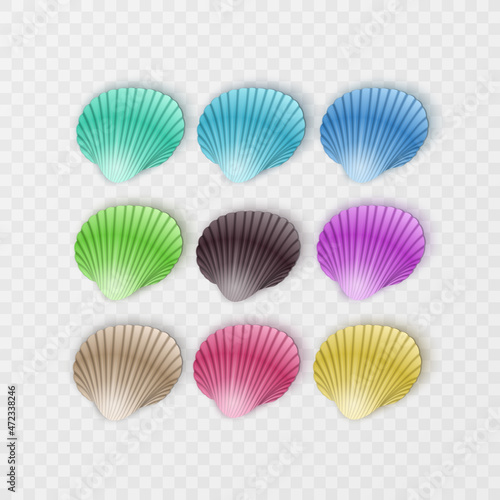 Colorful sea shells silhouettes set on white background. Vector illustration