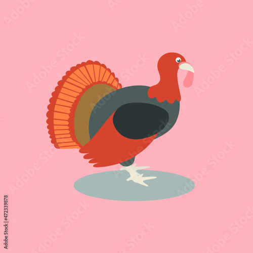 Turkey Animal Cartoon Flat Vector