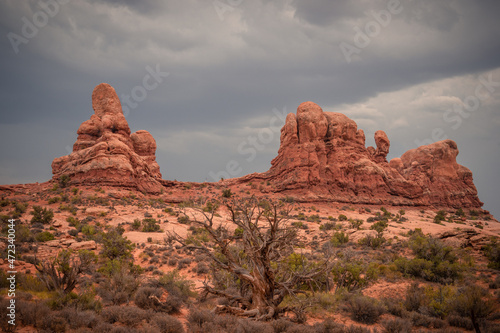 Beautiful View of Red Rocks and storm clouds in the sky in the foreground a dead tree  Arches National Park  Utah  USA