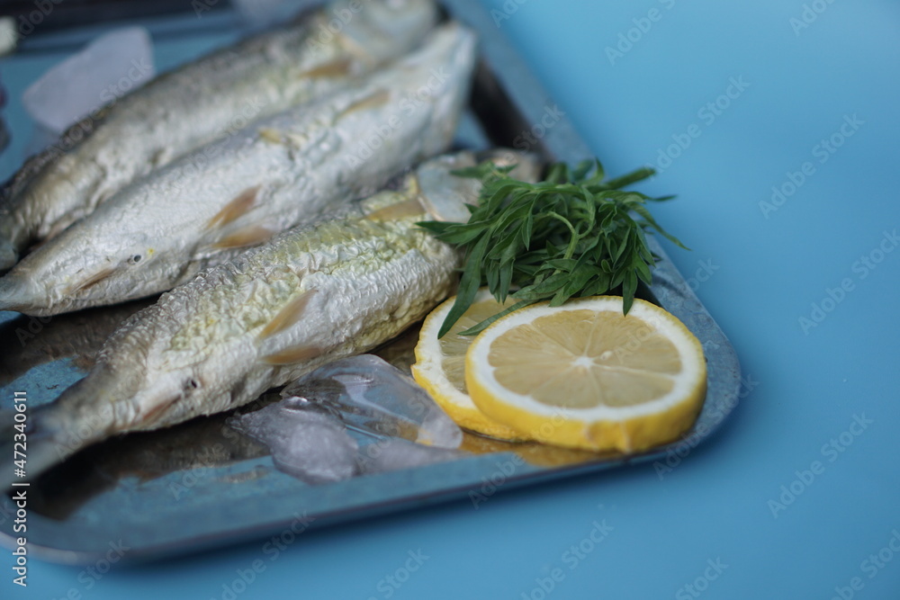 Milkfishes photography for business and presentation