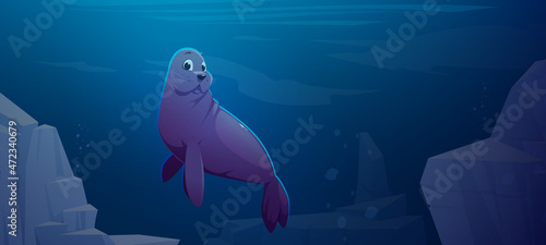 Cute fur seal swim in underwater ocean space with rocks around. Marine animal, wildlife pinniped creature relax in sea environment, fauna Arctocephalus forsteri species, Cartoon vector illustration