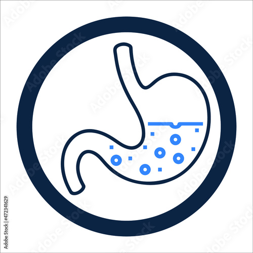 Anatomy organ or stomach icon
