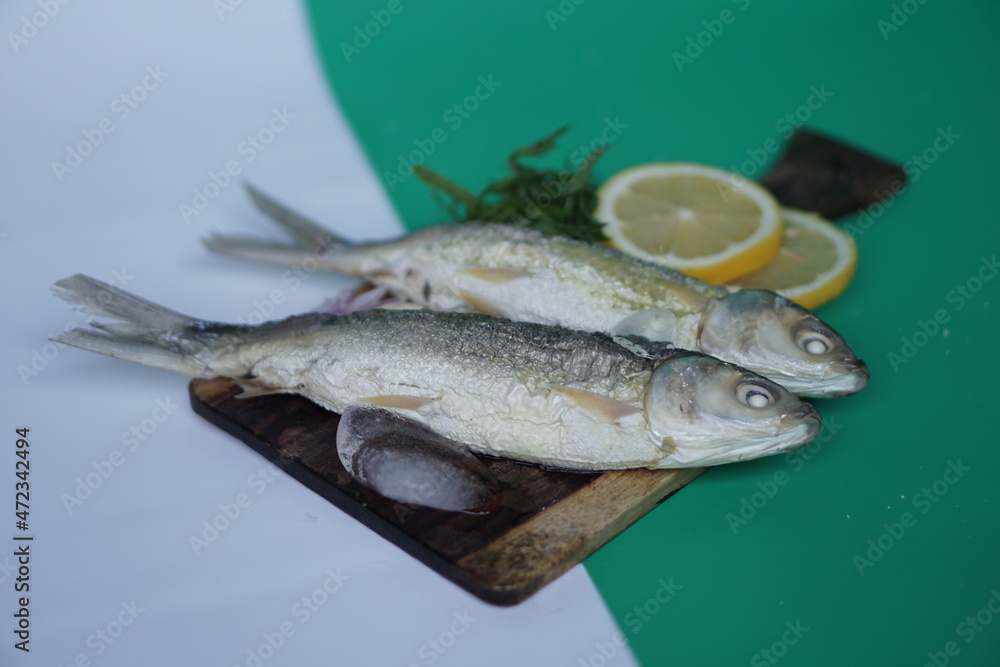 Milkfishes photography for business and presentation materials Milkfishes photography for business and presentation materials