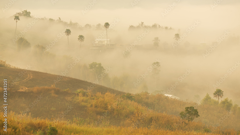 Fototapeta premium The scenery of morning fog in the hill with trees, grasses, and buildings from Thailand.