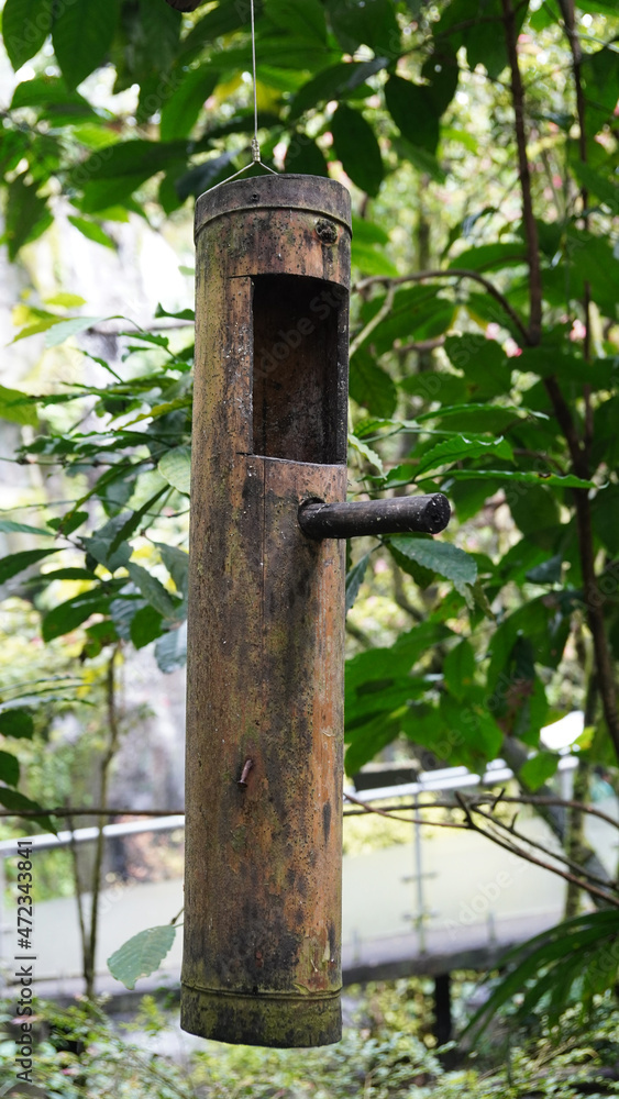 bird house on tree bird house on tree