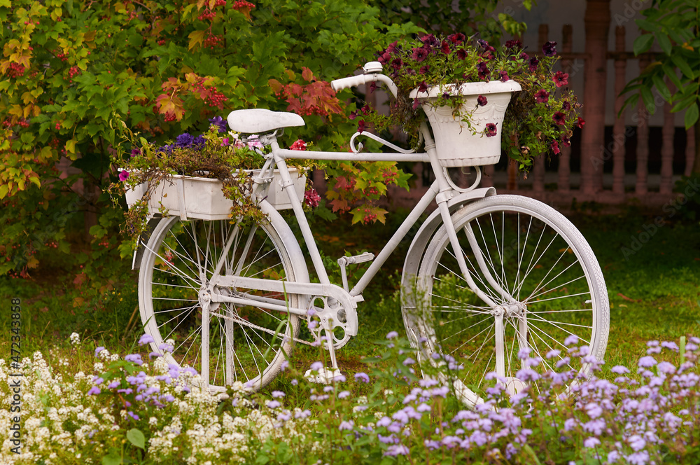 A white antique bicycle decorated with fresh flowers stands next to a red rowan bush. Beginning of autumn.