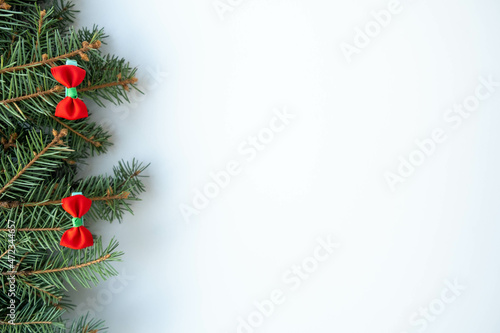 Merry Christmas and Happy New Year white background with green fir branches and bows. Christmas tree flatly. Flat lay, top view, copy space. © Elena