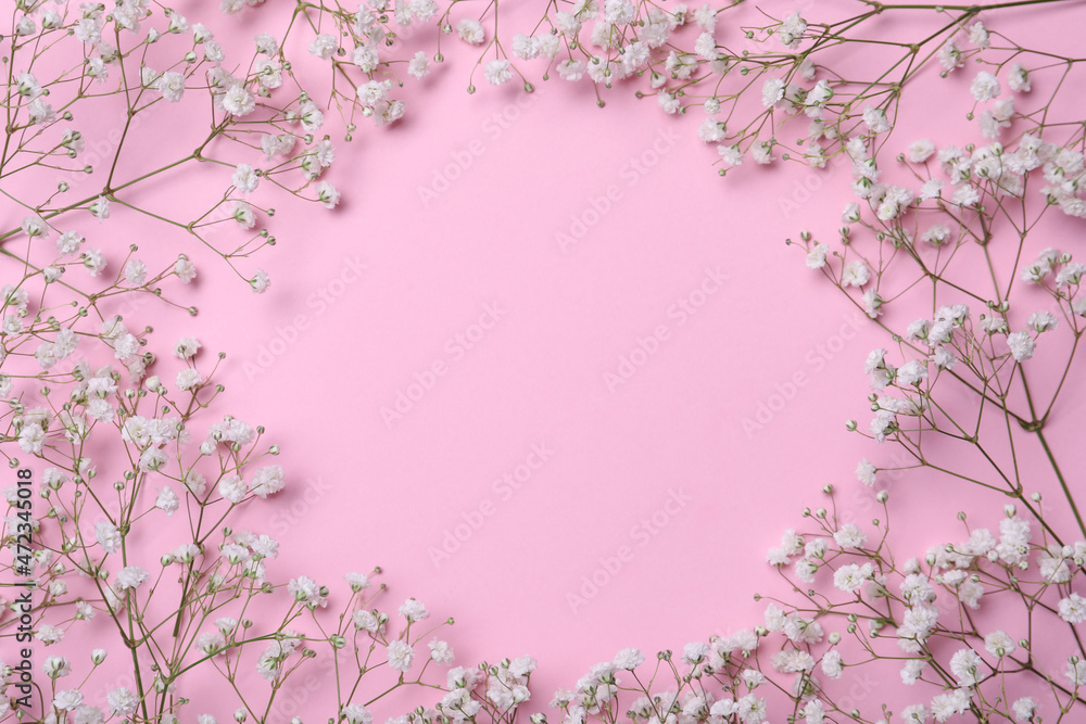 Frame of beautiful gypsophila flowers on pink background, flat lay. Space for text