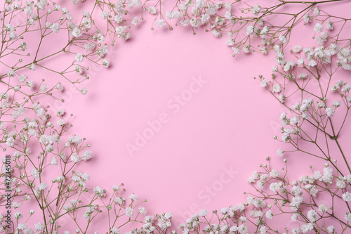 Frame of beautiful gypsophila flowers on pink background, flat lay. Space for text