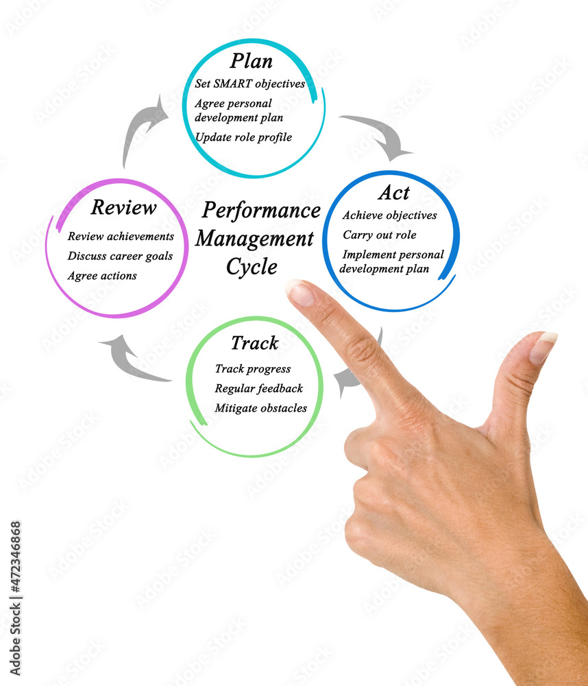 Components of Performance Management Cycle. Components of Performance Management Cycle.