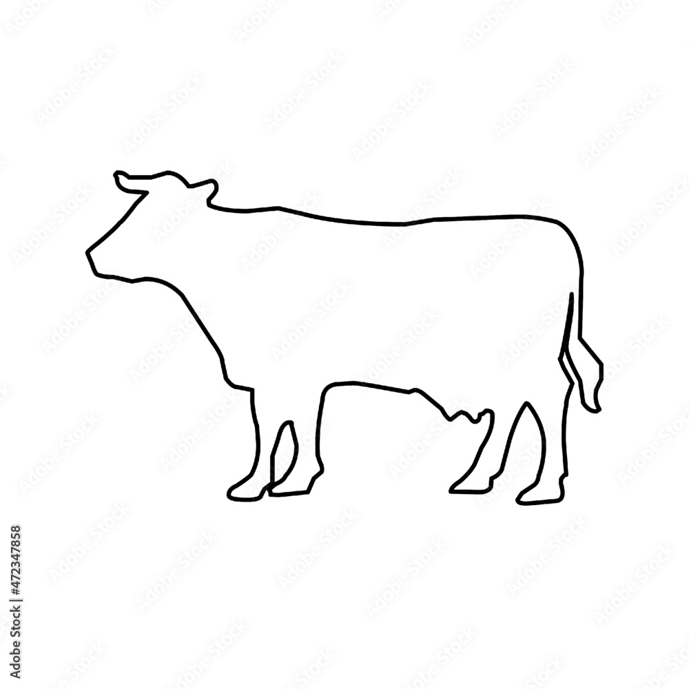 cow cow