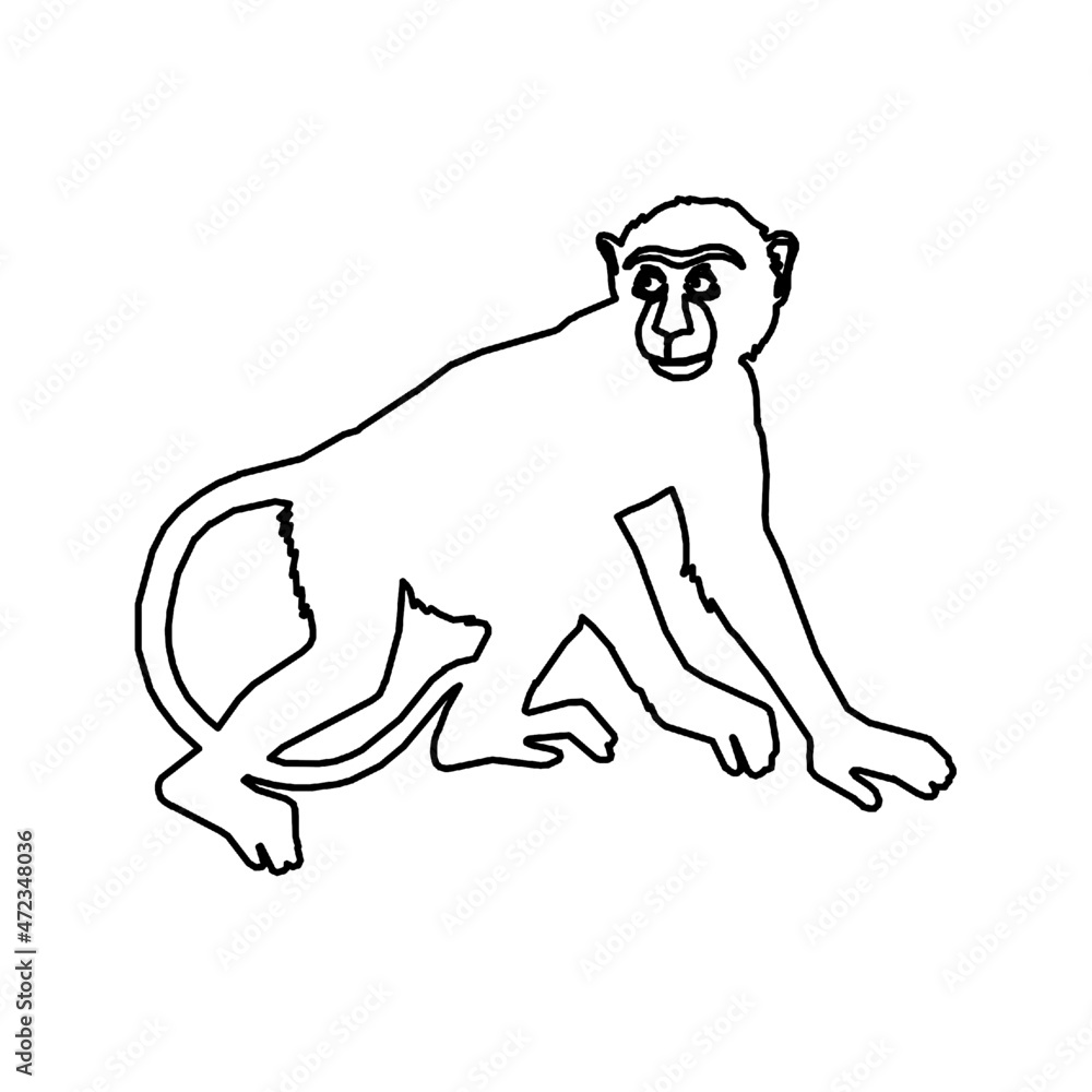 monkey monkey