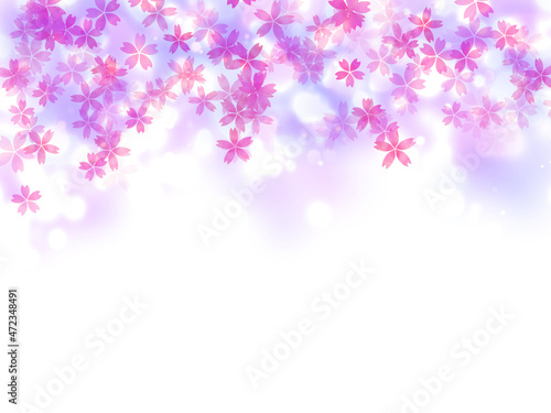  	夜桜壁紙背景 