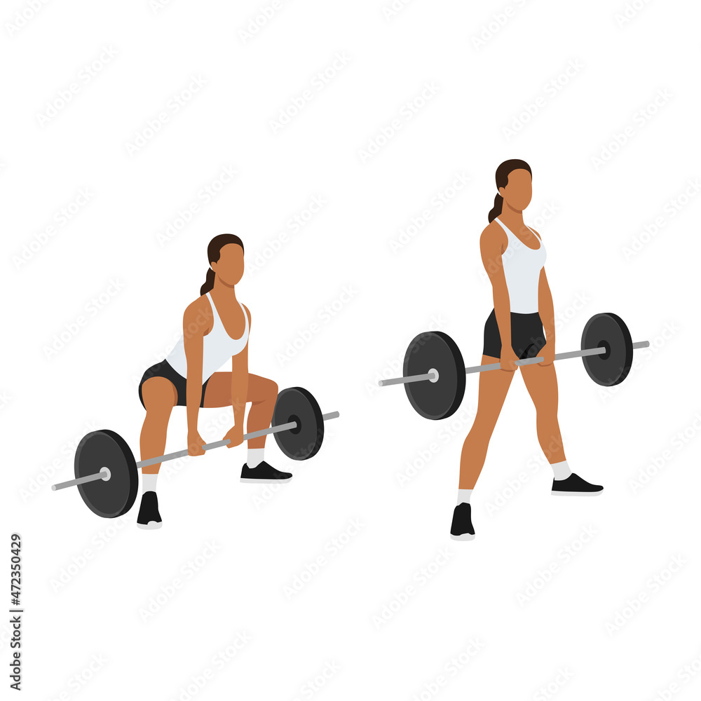 Woman doing Sumo Barbell deadlifts exercise. Flat vector illustration isolated on white background Woman doing Sumo Barbell deadlifts exercise. Flat vector illustration isolated on white background